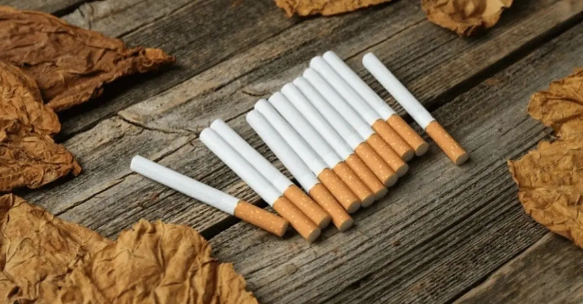 british american tobacco london office BAT's UK Headquarters Oversaw and Financed a South African Spy Ring british american tobacco london office BAT's UK Headquarters Oversaw and Financed a South African Spy Ring