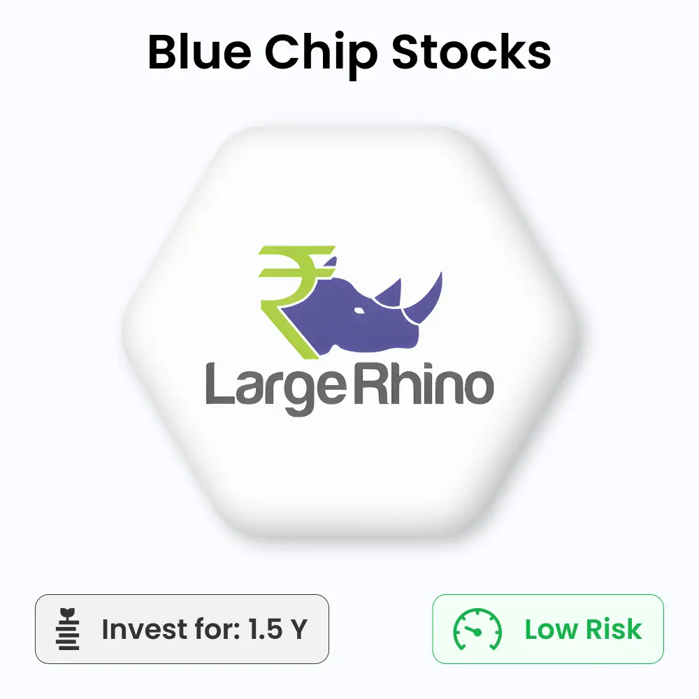 Large Rhino