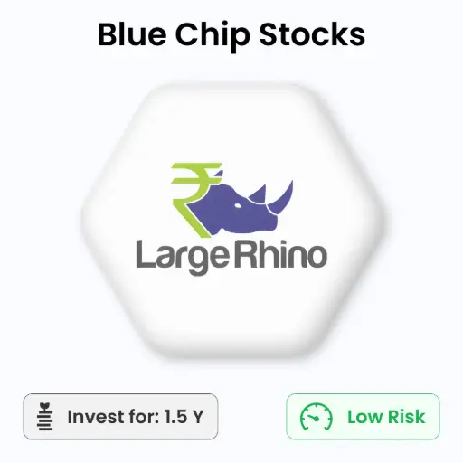 Large Rhino